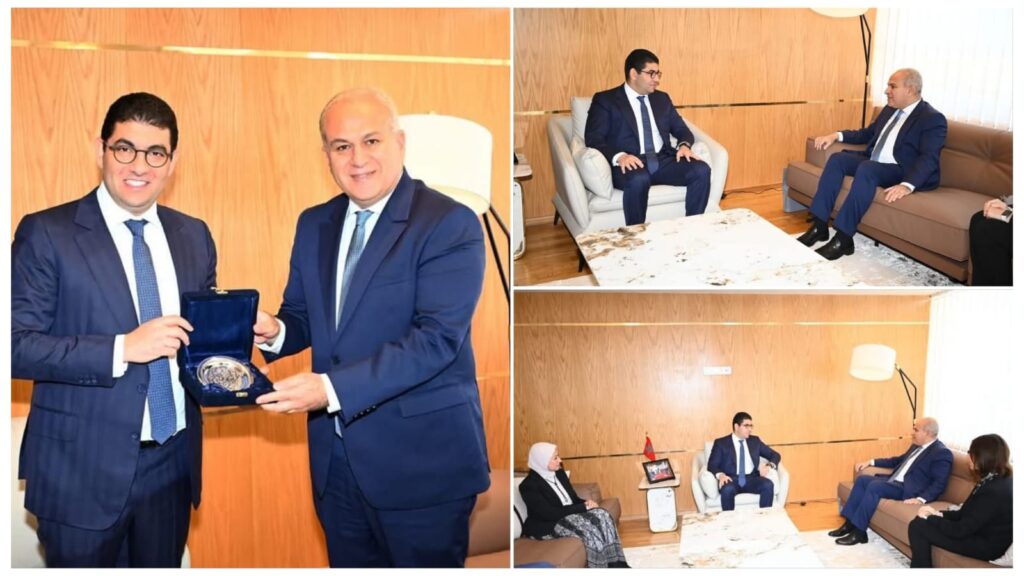 السفير المصري في الرباط يلتقي بوزير الشباب والثقافة المغربي
